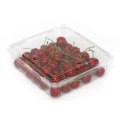 Disposable Fruit Clamshell Tray Dried Fruit Container PET Blister Packaging box with Lid